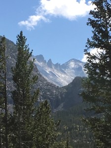 RMNP
